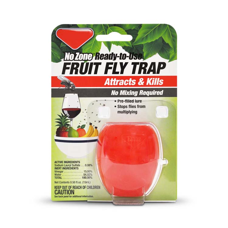 Fruit Fly Trap