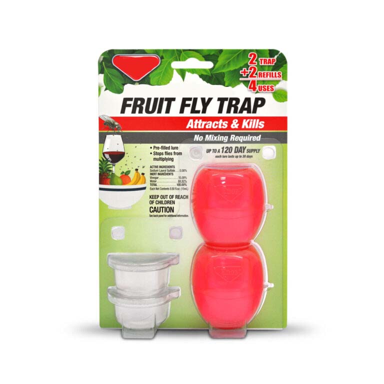 Fruit Fly Trap