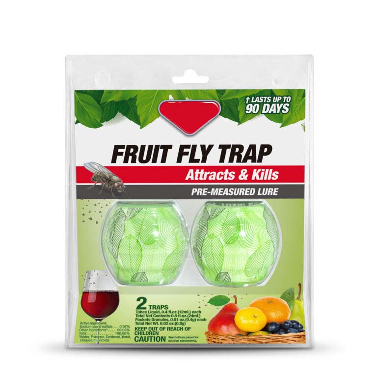 Fruit Fly Trap